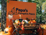papas-pumpkin-patch