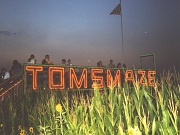 toms-maze-logo
